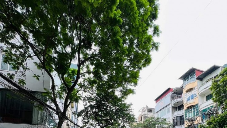 CHO THUÊ NHÀ MP KD BẤT CHẤP QUỐC TỬ GIÁM, 5 TẦNG, 45M2, 4 NGỦ, 5 WC, GIÁ 26 TRIỆU (CÓ TL)